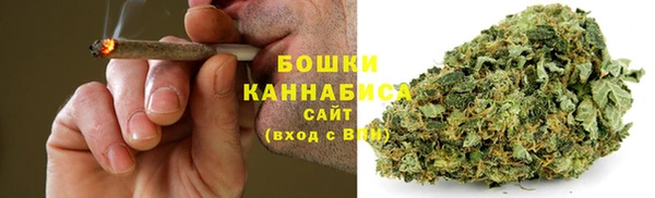 мет Сясьстрой