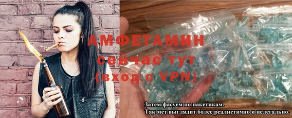 дмт Тайга