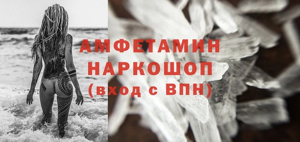 дмт Тайга