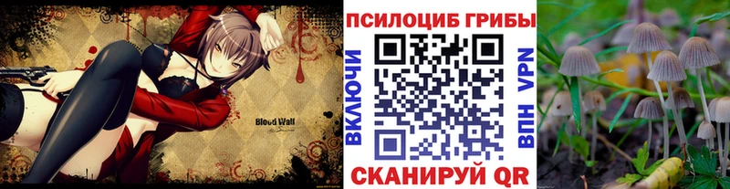 Галлюциногенные грибы Psilocybe  купить наркотики сайты  kraken ТОР  Холмск 