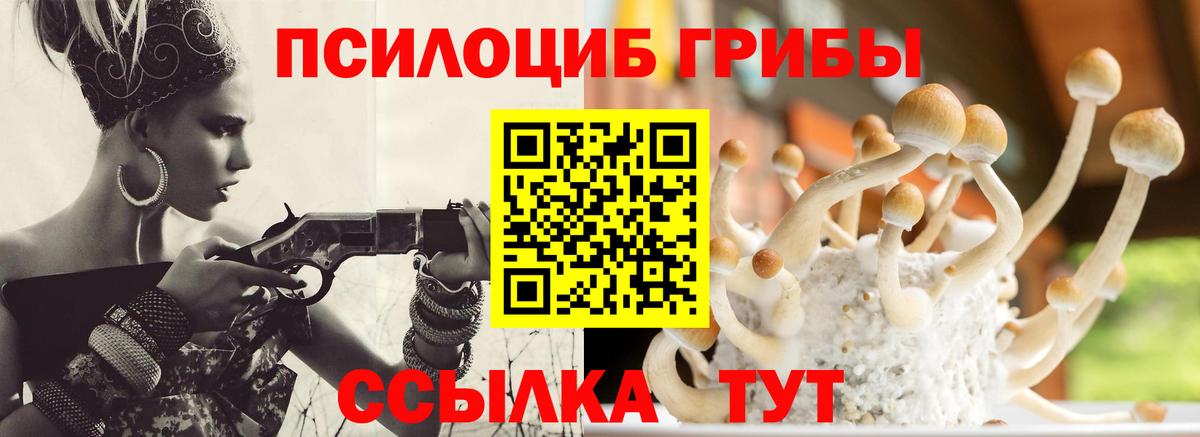 Холмск  Псилоцибиновые грибы Cubensis  Вход с VPN 